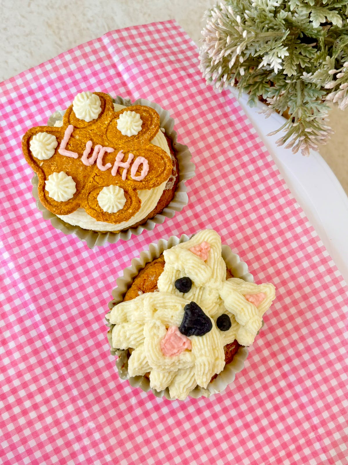 Pupcakes Lucho estilo westie